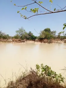 Byggmark Till salu 0000 Brikama Gambia  DE