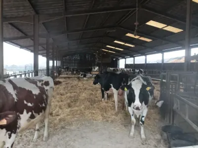 Gård Till salu 54000 GRAFIGNY FR